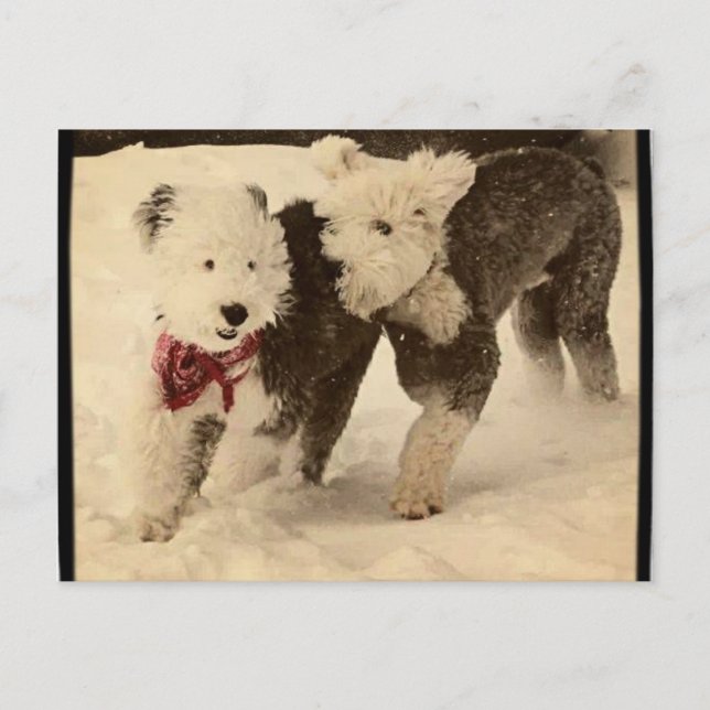 Cartão Postal Vamos Jogar! (Frente)