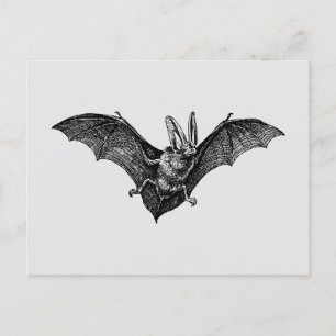 Cartão Postal Vampiro Vintage Bat Gothic