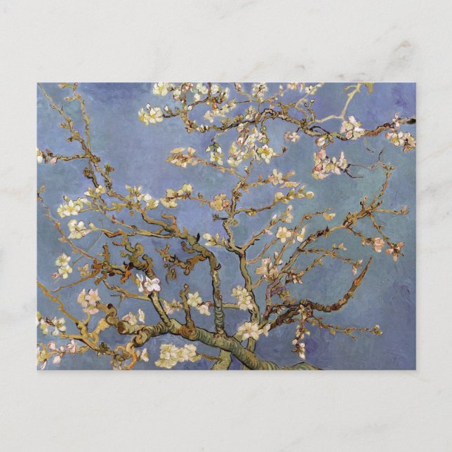 Cartão Postal Van Gogh Almond Blossom (Frente)
