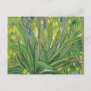 Cartão Postal Van Gogh art Irises, reprodução acrílica