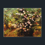 Cartão Postal Van Gogh - Blooming Rosa Bush<br><div class="desc">Rosa Blooming Bush,  pintura de belas artes por Vincent van Gogh</div>