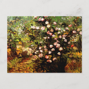 Cartão Postal Van Gogh - Blooming Rosa Bush
