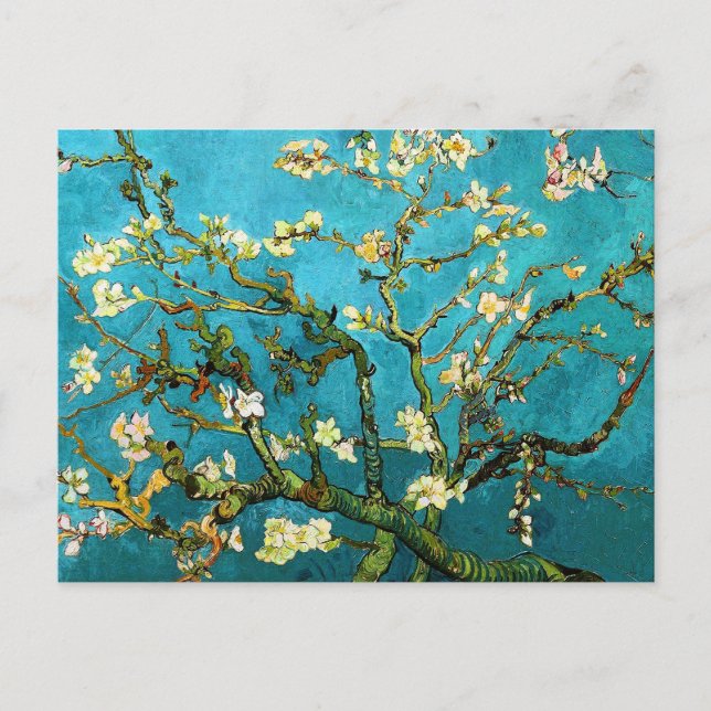 Cartão Postal Van Gogh Blossoming Almond Tree Fine Art (Frente)