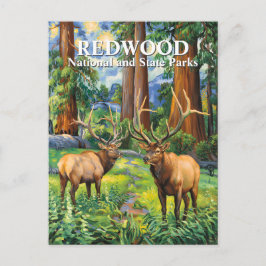 Cartão Postal Van Gogh Elk Redwood California Forest Custom Text
