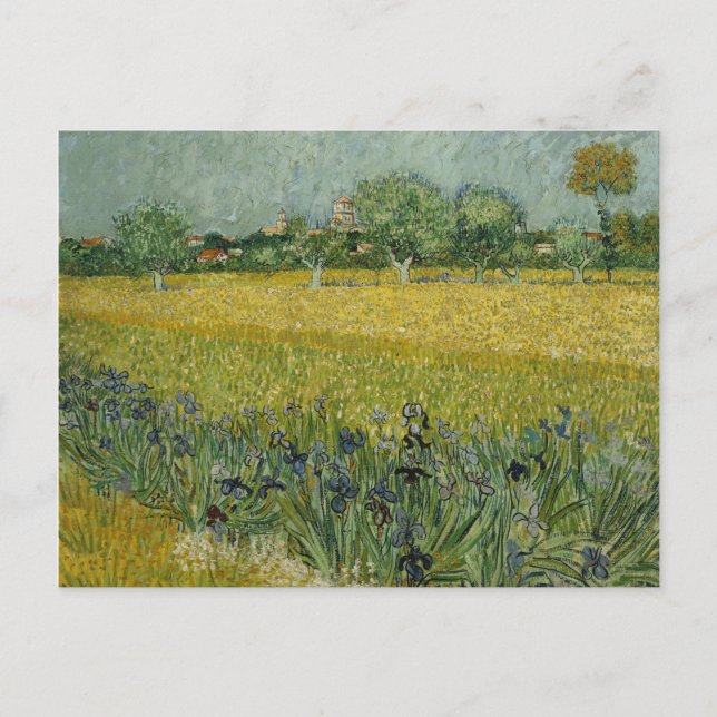 Cartão Postal Van Gogh Field Com Flores Perto De Arles (Frente)