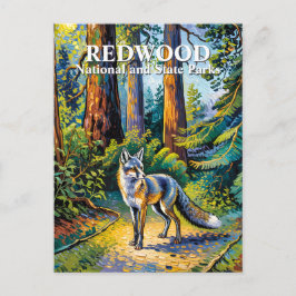 Cartão Postal Van Gogh Fox Redwood National Park Forest Custom