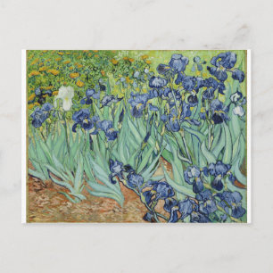 Cartão Postal Van Gogh Irises