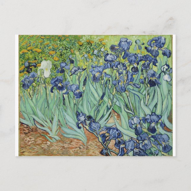 Cartão Postal Van Gogh Irises (Frente)
