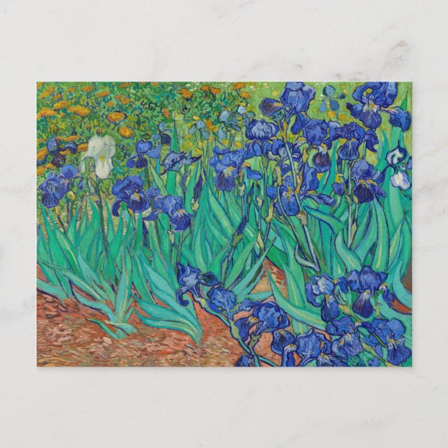 Cartão Postal Van Gogh Irises. impressionismo floral azul (Frente)