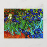 Cartão Postal Van Gogh - Irrises<br><div class="desc">A pintura de Vincent van Gogh em 1889,  Irises,  postal.</div>