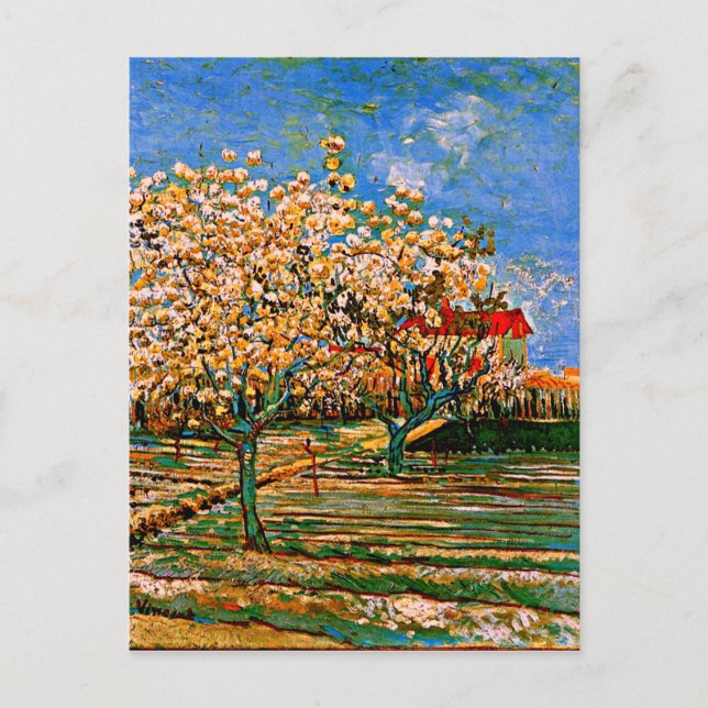 Cartão Postal Van Gogh - Pomar em Blossom (Frente)