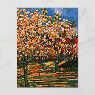 Cartão Postal Van Gogh - Pomar em Blossom