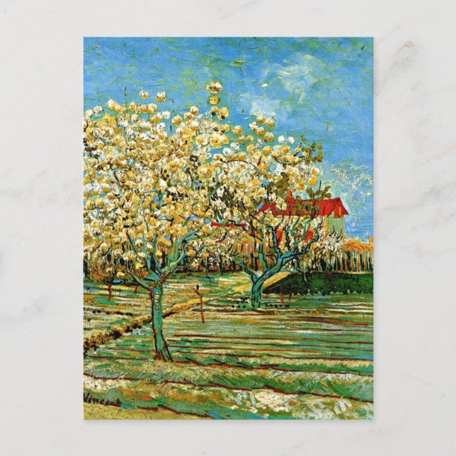 Cartão Postal Van Gogh - Pomar em Blossom (Frente)