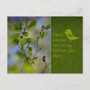 Cartão Postal Våren kommer ändå CC0838 Slappna av