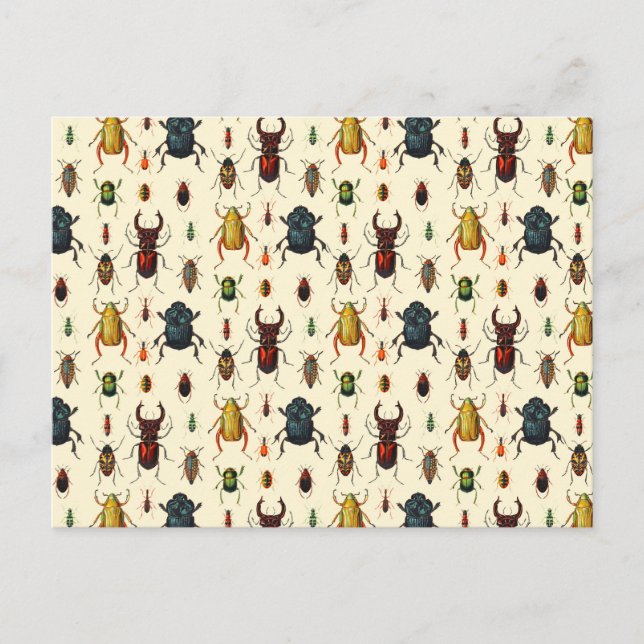 Cartão Postal Variedades de besouro (Frente)