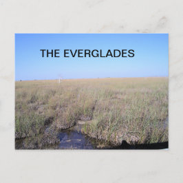 CARTÃO POSTAL VASTNIDADE DAS EVERGLADES