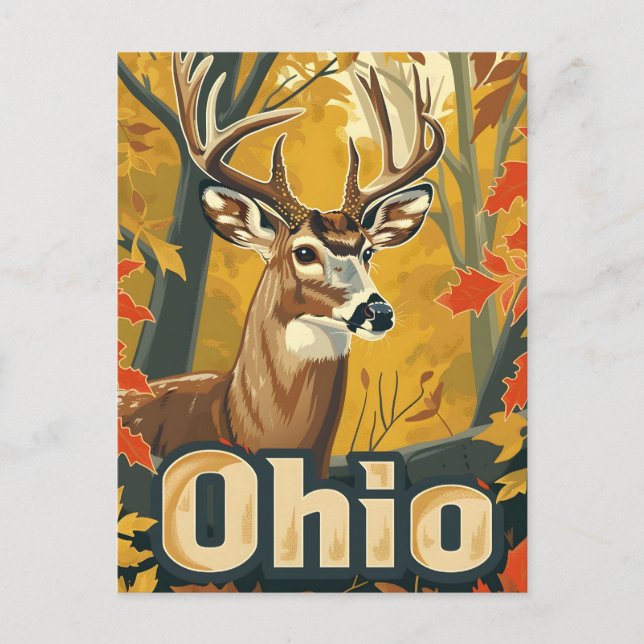 Cartão Postal Veado branco de Ohio (Frente)