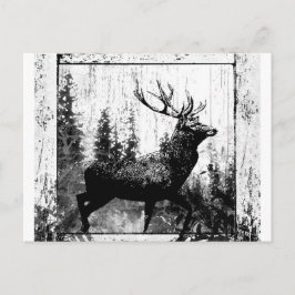Cartão Postal Veado Cervo Vintage Animal Preto Branco