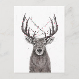 Cartão Postal Veado do Natal
