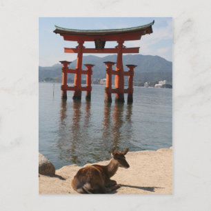 Cartão Postal veado miyajima