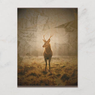Cartão Postal Veado na floresta