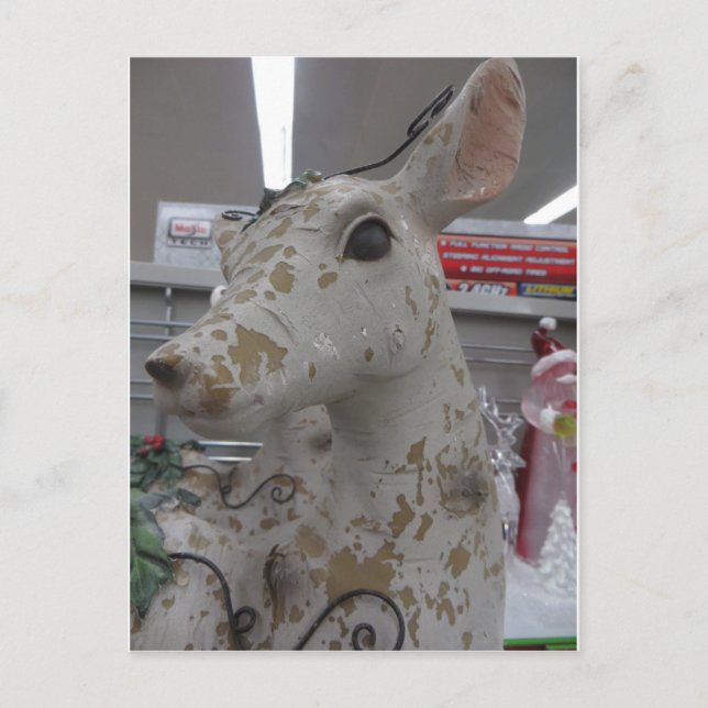 Cartão Postal Vedante Decorativo (Frente)