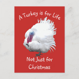 Cartão Postal Vegan Christmas Turquia