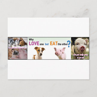 Cartão Postal Vegan Gear Qual é a diferença?