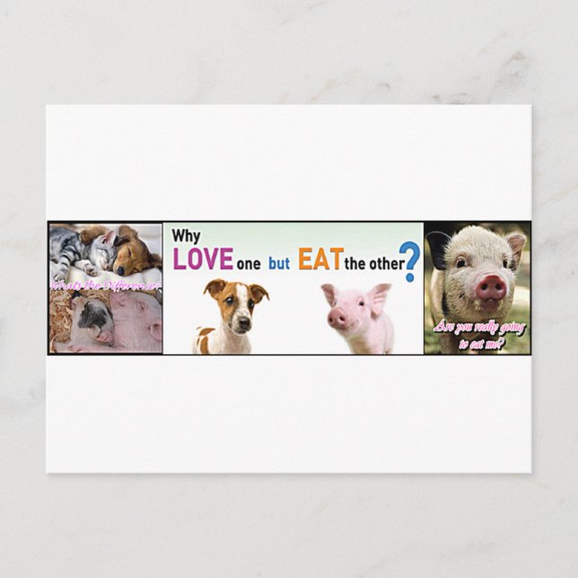 Cartão Postal Vegan Gear Qual é a diferença? (Frente)
