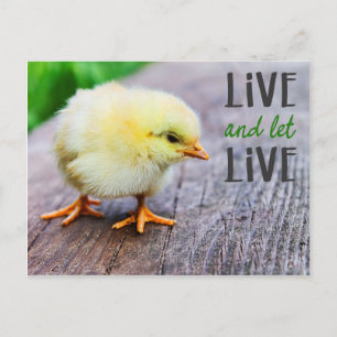 Cartão Postal Vegan "Live and let live" com pintinho fofo