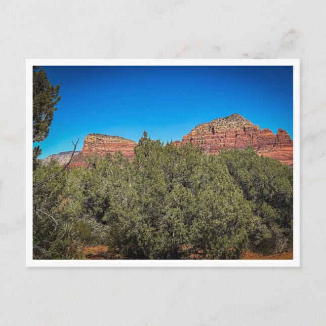 Cartão Postal vegetação (Frente)