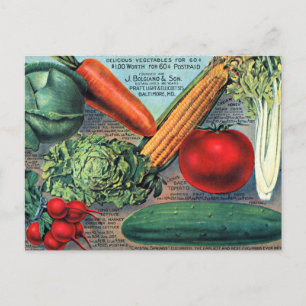 Cartão Postal Vegetais Vintage