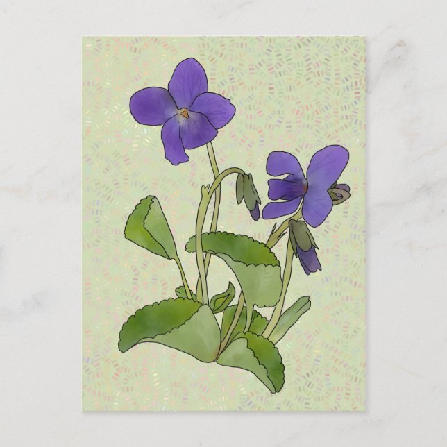 Cartão Postal Veilchen (Frente)