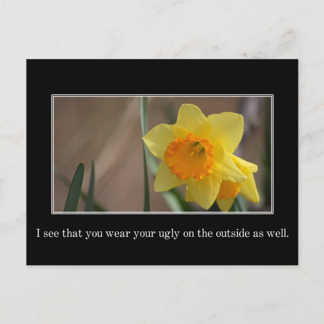 Cartão Postal Vejo que seu feio é dentro e lá fora (Frente)