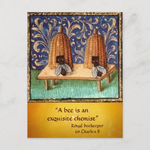 CARTÃO POSTAL VELHA DE MEL ANTÍQUICO, APOSTA