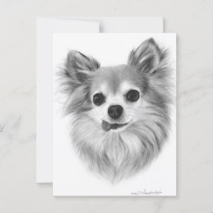 Cartão Postal Velha Mão De Chihuahua Pintada Trabalho de arte