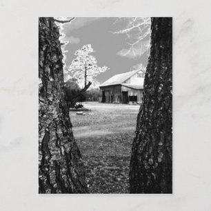 Cartão Postal Velho Barn Rural Barns Country Black & White Photo