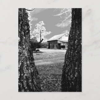 Cartão Postal Velho Barn Rural Barns Country Black & White Photo