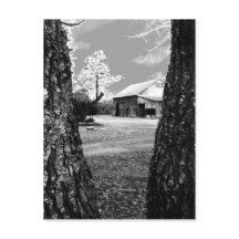 Velho Barn Rural Barns Country Black & White Photo