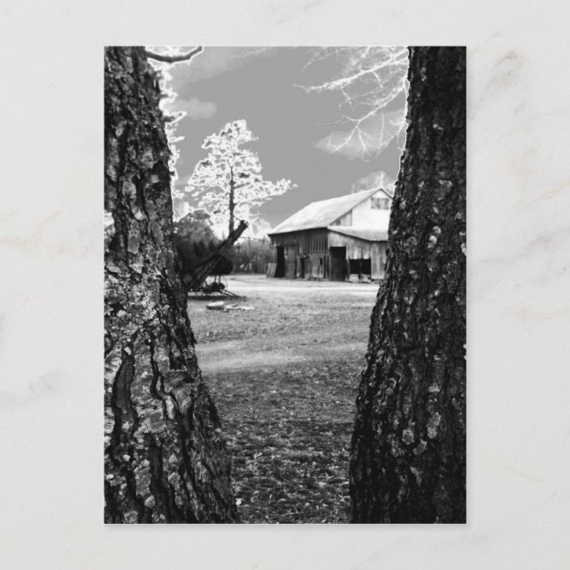 Cartão Postal Velho Barn Rural Barns Country Black & White Photo (Frente)