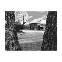 Velho Barn Rural Barns Country Black & White Photo