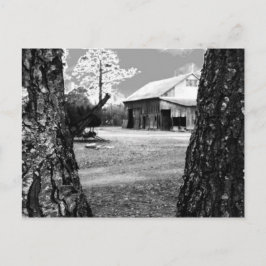 Cartão Postal Velho Barn Rural Barns Country Black & White Photo