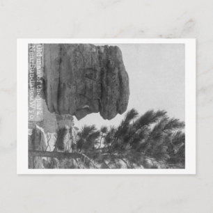 Cartão Postal "Velho Homem" do Parque Perto da Fotografia da Sun