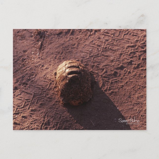 Cartão Postal Velocidade (Frente)