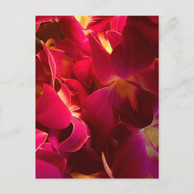 Cartão Postal Velvet (Frente)