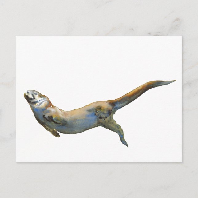 Cartão Postal Velvet 2014 (Frente)