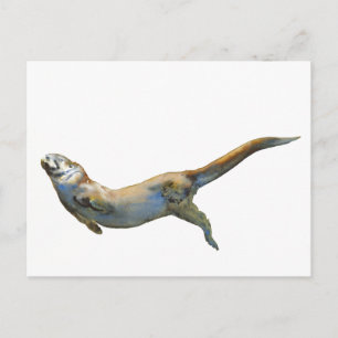 Cartão Postal Velvet 2014