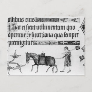 Cartão Postal Vendedor de água, ilustração de "Luttrell Psalter"