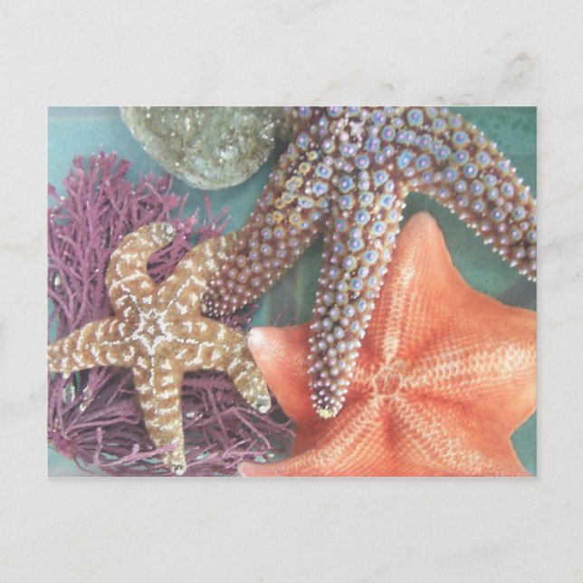 CARTÃO POSTAL VENDO ESTRELAS (Frente)