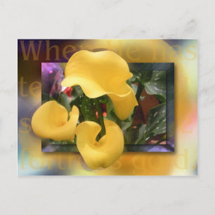 Cartão Postal Venha como Ouro